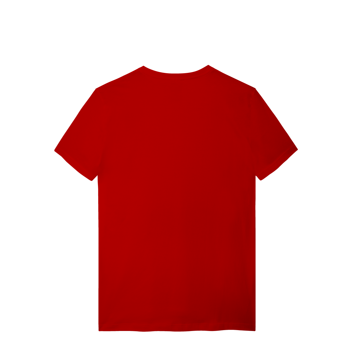 Camiseta Hachi Raiz